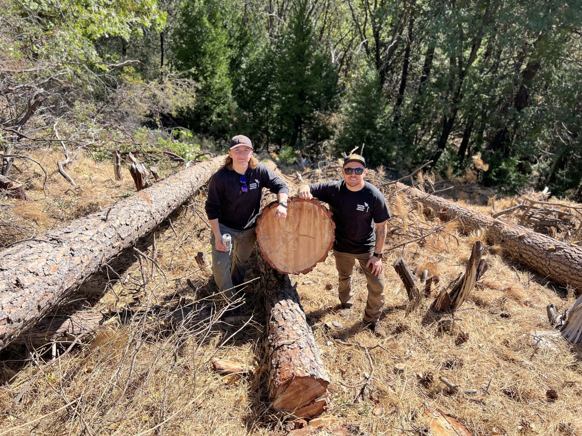 Two Watkins Forestry Services crew members beside felled ponderosa pines